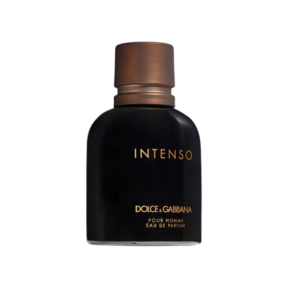 Intenso EDP