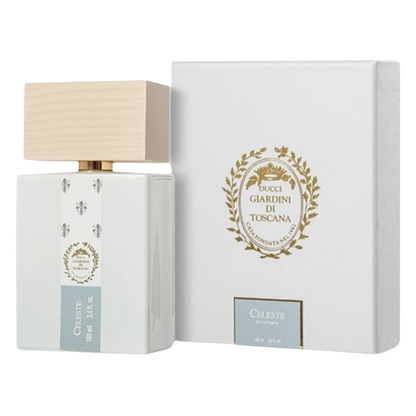 Celeste EDP